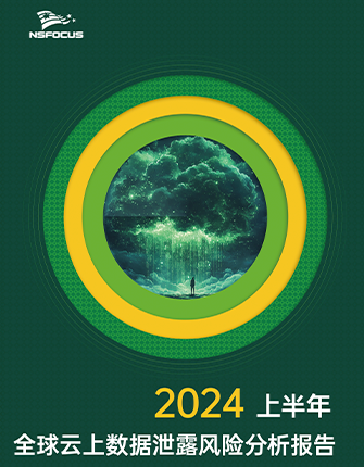 《2024上半年全球云上数据泄露风险分析报告》